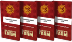 TANGERINE DREAM AUTO&trade; | BARNEY&rsquo;S FARM - acquista online su Hemport