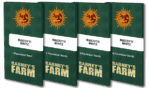 BISCOTTI MINTZ™ | BARNEY’S FARM - acquista online su Hemport