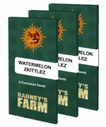 watermelon zkittlez packet