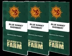 284430.jpg BLUE SUNSET SHERBERT | BARNEY’S FARM - acquista online su Hemport