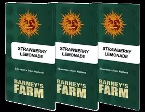 284452.jpg STRAWBERRY LEMONADE | BARNEY’S FARM - acquista online su Hemport