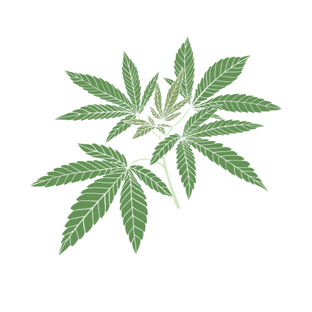 eventi storici cannabis