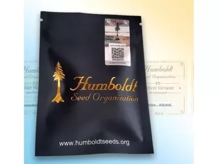 HSO_01 cinnamon buddha og