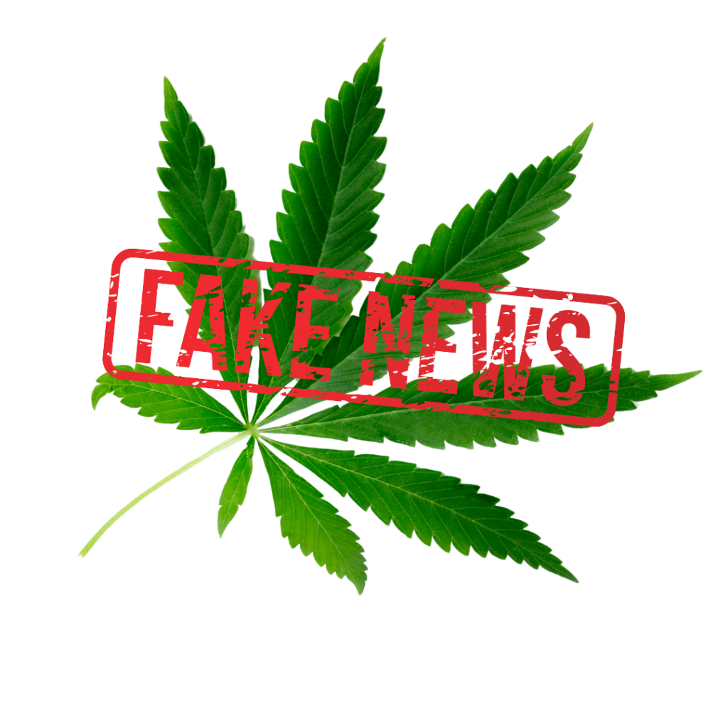 fake news cannabis