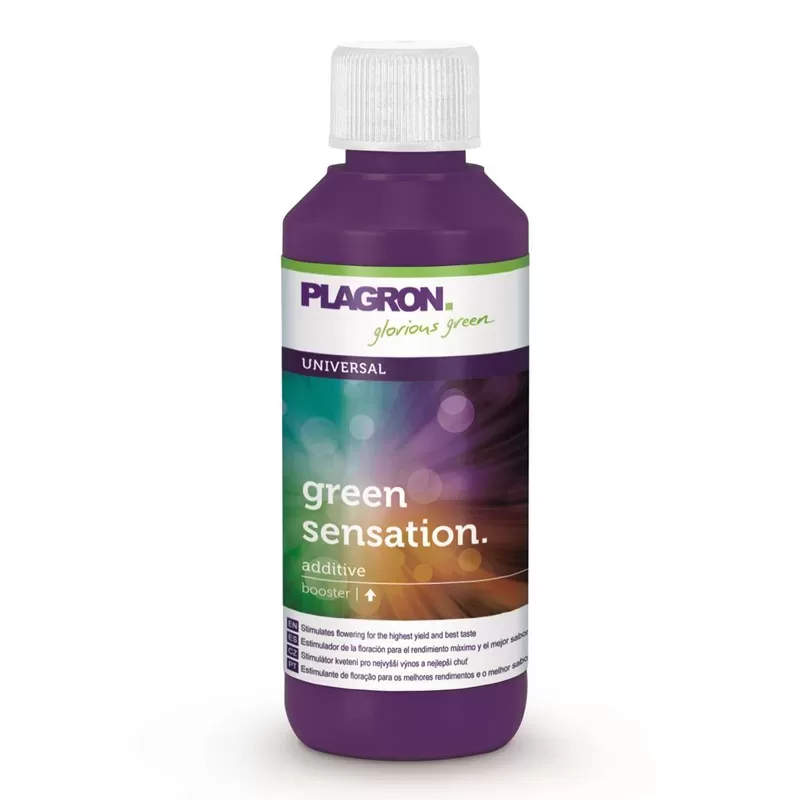 PLAGRON | GREEN SENSATION 4 in 1 - acquista online su Hemport