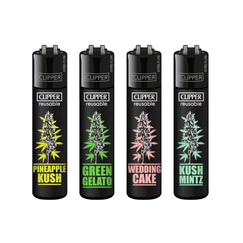 CLIPPER PLANTZ #6 - COLLEZIONE COMPLETA - acquista online su Hemport