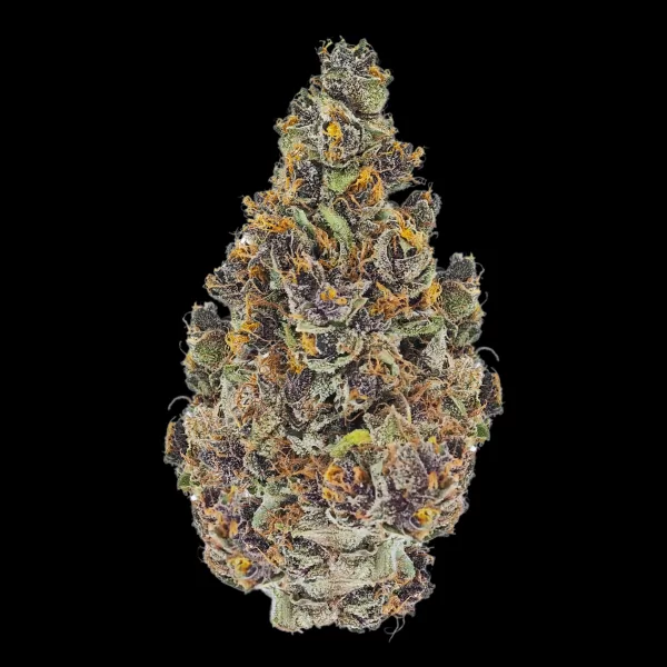 PURPLE HAZE