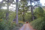 WILD MAROCCO - TOUR NATURALISTICO NELLE FARM A CHEFCHAOUEN E VALLE DEL KETAMA - acquista online su Hemport