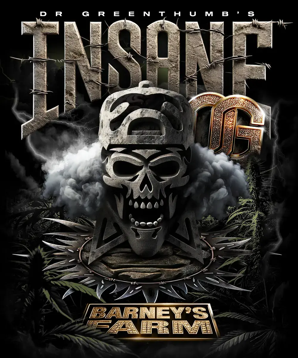 __insane-og_circle_new_21_112834 INSANE OG | BARNEY'S FARM X DR. GREENTHUMB'S - acquista online su Hemport