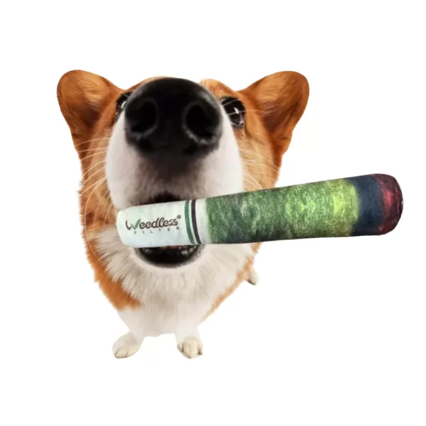 WEEDLEZ | SMOKN`DOG TOY