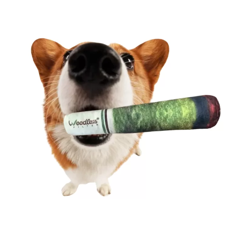 WEEDLEZ | SMOKN`DOG TOY - acquista online su Hemport