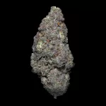 GALACTIC CRUNCH - acquista online su Hemport