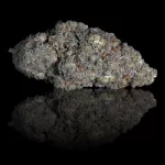 GALACTIC CRUNCH - acquista online su Hemport