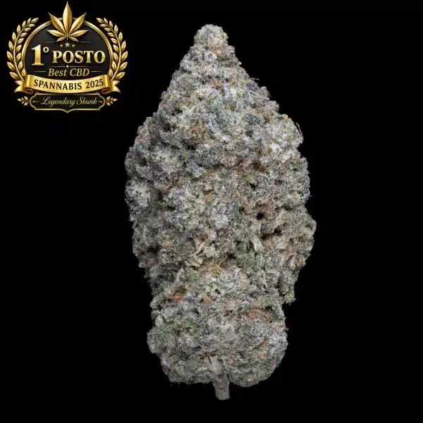 Frosty cannabis bud beside a gold award badge reading '1&deg; posto Best CBD Spannabis 2025 Legendary Skunk' on a black background.