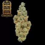 Gold '1st Place' Cannathlon 2026 award badge beside a dense, frosty cannabis bud on a black background, indicating the product's prize.