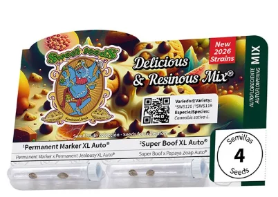 Cannabis seed packaging featuring a decorative label, showing a QR code and four seeds in a blister pack.
