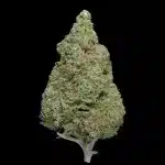 Close-up of a frosty cannabis bud with green and purple hues against a black background, showing trichomes and orange pistils.