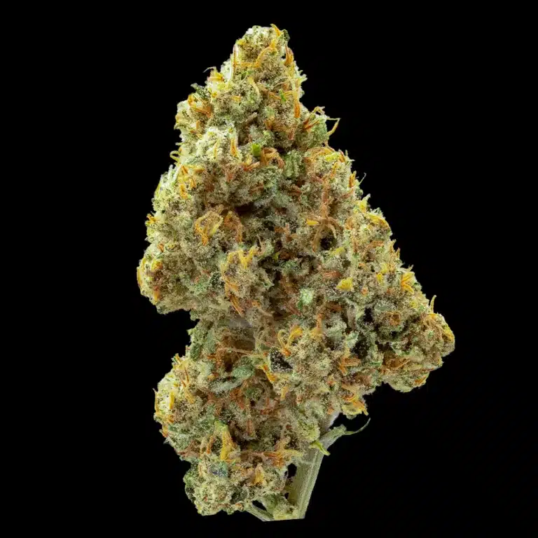 Macro shot of a cannabis bud with white trichomes, orange hairs, and green leaves against a black background.