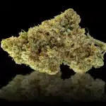 Close-up of a cannabis bud with orange pistils and frosty trichomes on a black background, showing dense, chunky green flowers.